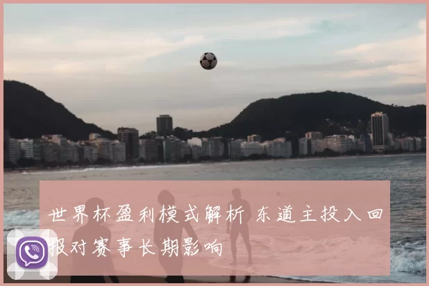 世界杯盈利模式解析 东道主投入回报对赛事长期影响