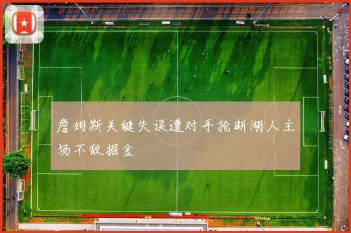 詹姆斯关键失误遭对手抢断湖人主场不敌掘金