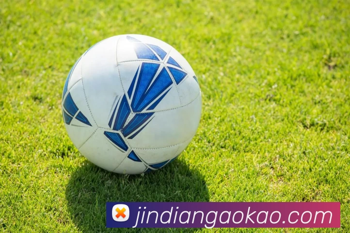 米兰app体育登录入口 - 米兰体育(中国)服务体系